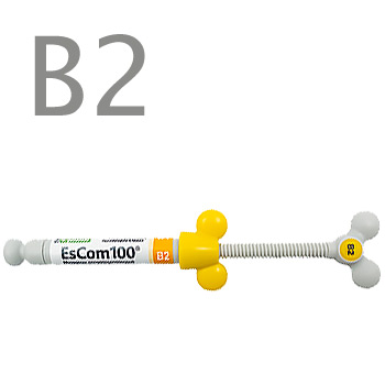 ЭсКом 100/EsCom 100 B2 (1шпр.х4г) Spident, Корея